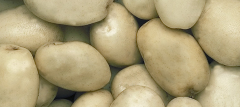 White Potatoes