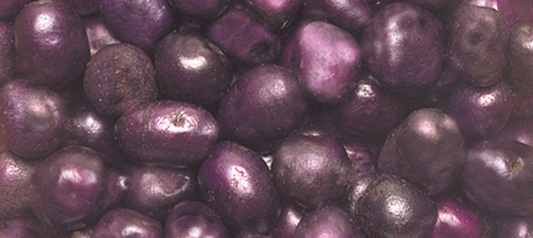 Purple Potatoes
