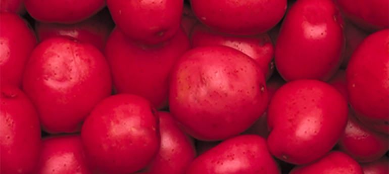 Red Potatoes